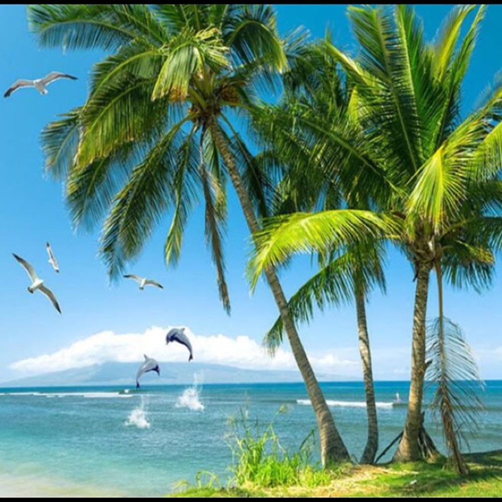 🌴🐳🐙🌴🐳🐙🌴🐳🐙🌴🐳🐙🌴🐳🐙🌴 - Picture 8 of 9